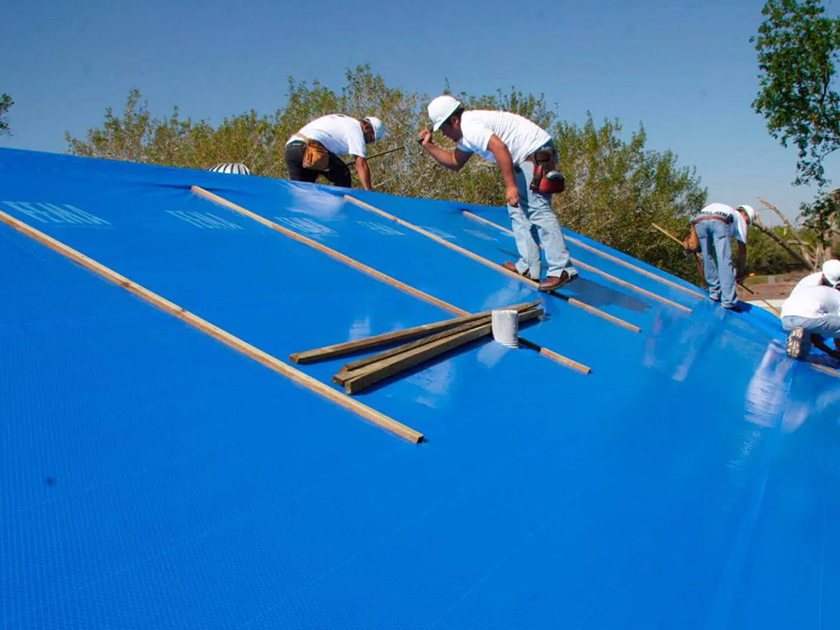 Core Tarp case study