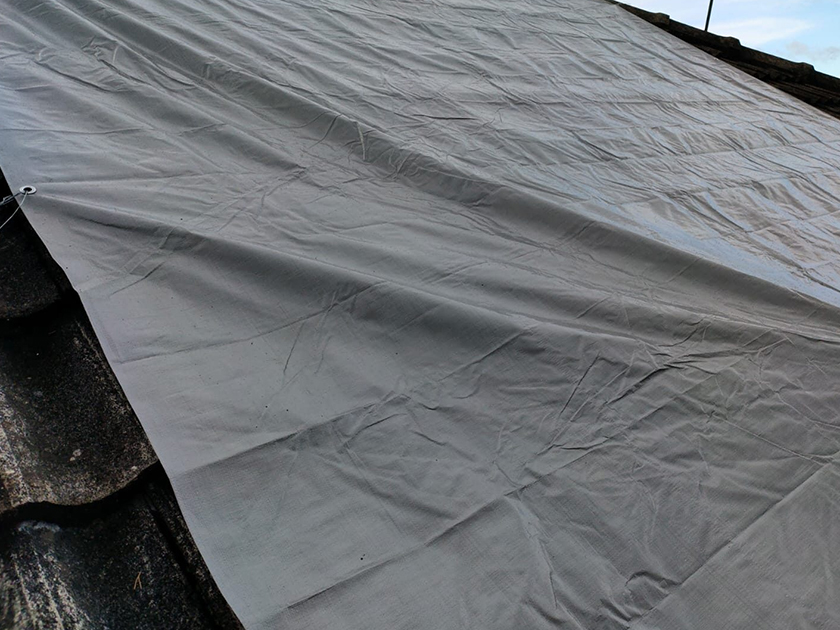Core Tarp slide 3